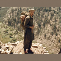 Chapter 238: Death of a Translator with Ed Gorman