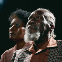 17-10-25: Concerto Record Store Radio: Robert Finley, Suede, Neal Casal