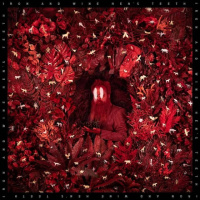 06-03-2026: Concerto Record Store Radio: Iron  Wine, Gorillaz, Wild Horses