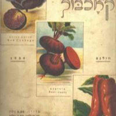 Sholems Bias: Medicine And Other Curiosities