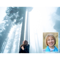 Becoming All God Wants You to Be