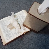 Rewriting Your Emotional Script with Becky Harling