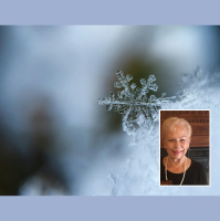 Christmas Wedding: Unveiling the Roosevelt Love Story