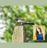 Thinking Deeper: How to Teach the Birds n Bees in Our Culture