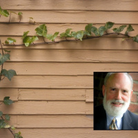 Darwins Mistake: The Origin of Sex