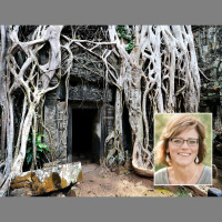 How to Have Deep Roots that Keep You Stable