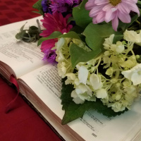 Transformation Through the Bible