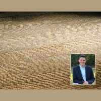 The Constitution: How did it Happen?