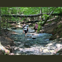 Beyond the Books: Teaching the Moral Grit of the Bonhoeffer Family