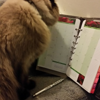 Never Enough Time? Learn Time Managment