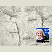 A Mothers Heart: Secret to Finding Joy in Pain