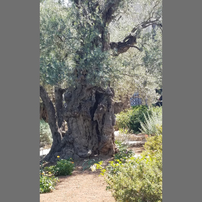 Heart Of The Matter Radio