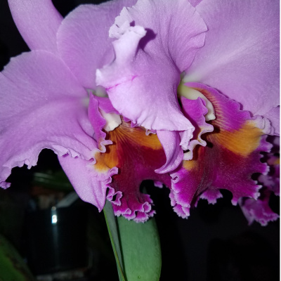 Heart Of The Matter Radio