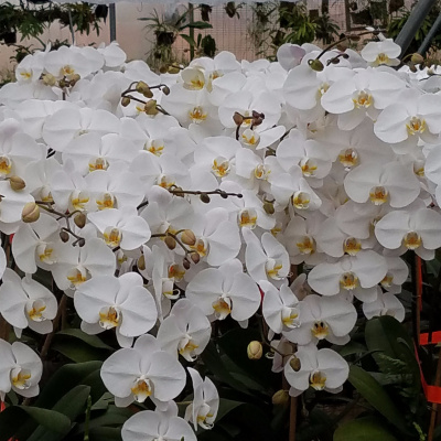 Heart Of The Matter Radio