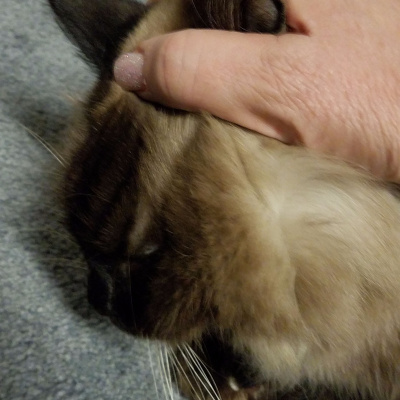 Heart Of The Matter Radio