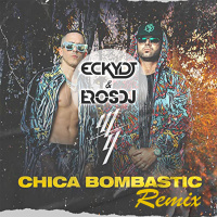Wisin And Yandel - Chica Bombastic (EckyDj  ErosDj Remix)