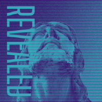 Episode 248: Purpose Revealed