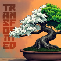 Episode 275: Failure Transformed