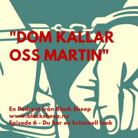 6 - Du har en kriminell look - Dom kallar oss Martin