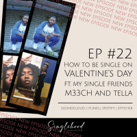 #22 How to Be Single on Valentines Day Ft. My Single Friends M33ch and Tella
