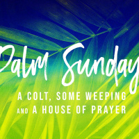 A Colt, Some Weeping,  A House of Prayer