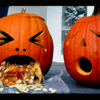 André Dublo - Smashed Pumpkins