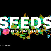 Plant for the Harvest