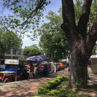 Cholaos en el parque Lessburg o del amor y la amistad