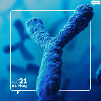 La revolución de los cromosomas artificiales