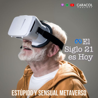 Estúpido y sensual metaverso