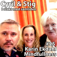 #25 Karin Ekdahl - Mindfullnes