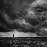 202. The Curious Case of the Phantom Rain