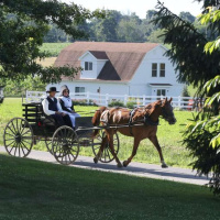 217. An Old Fashioned Amish Shunning