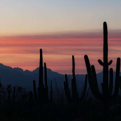Scary Stories From Camp Roanoke
