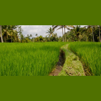 Career Callings Radio: November 23 | November 28, 2015