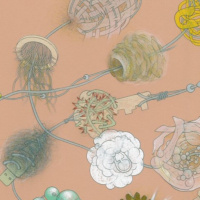 Rozmowy wokół realizmu spekulatywnego cz. 2