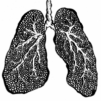 Crisis in Coal Country