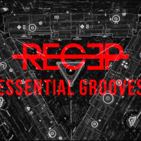 RECEP - Essential Grooves 001
