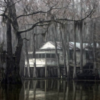 Episode 4 - Caddo Lake