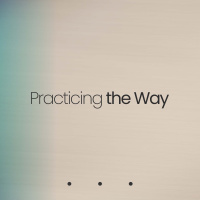 Practicing The Way | Like Our Rabbi (Andrew Allison)