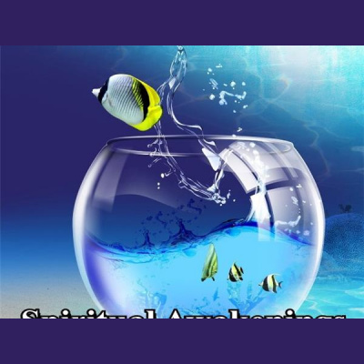 Oracles Of Light Radio