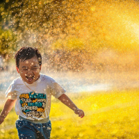 An Invitation to Freedom