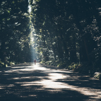 The (Un)Certainty of Belief