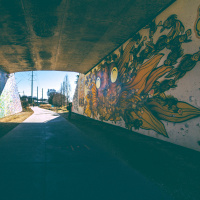 Creators  Contributors of Culture