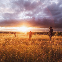 Unless a Kernel of Wheat Falls to the Ground