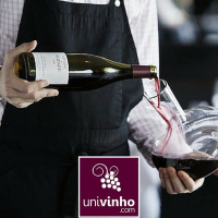 Enólogo, Enófilo e Sommelier... Qual a diferença?