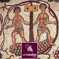 A história do vinho... bem resumida! )