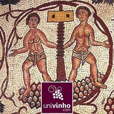 Univinho.com®