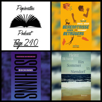 Folge 210: Detailliert skalpiert („Ein Sommer in Niendorf“ - Heinz Strunk, „Bekenntnisse eines Betrügers“ - Rahul Raina, „Dschinns“ - Fatma Aydemir)