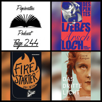 Folge 244: Make Literatur sexy again („Liebes Arschloch“ - Virginie Despentes, „Firestarter“ - Jan Carson, „Das dritte Licht“ - Claire Keegan)